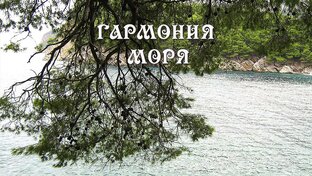 Гармония моря