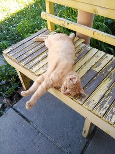 Видеопрогулки