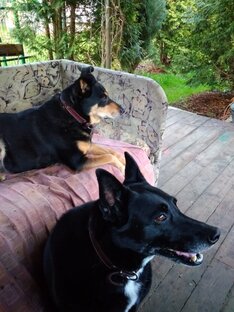 Эмма и Луша 