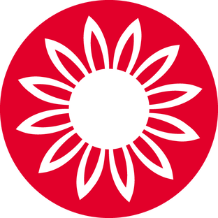 Подсолнечник