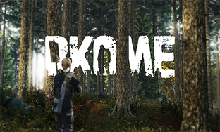 DayZ