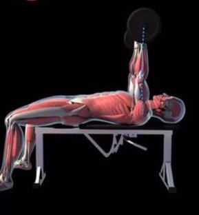 Все упражнения со скамьей Module Fitness 