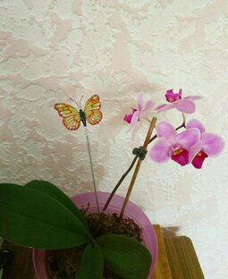 Рукоделие, творчество | Needlework, creativity, DIY