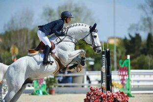 Конный Спорт