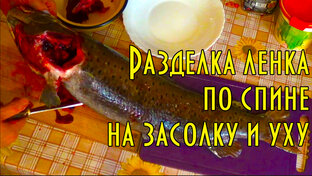 Засолка рыбы или мяса разными способами