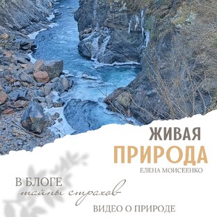 ЖИВАЯ КРАСОТА