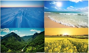 Тесты, психология