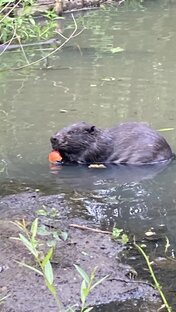 Удивительное рядом!