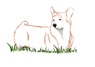 Милые животные и их семьи