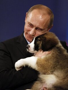 👑 Известные личности?👑 Погадаем! 