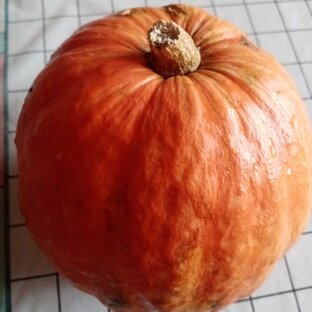 Солнечная выпечка с тыквой. 