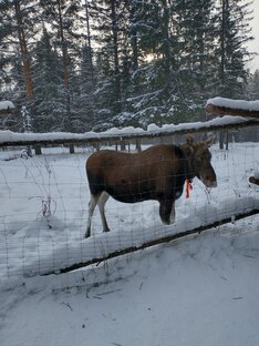 Национальный Парк Зюраткуль