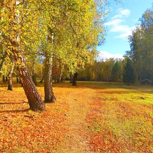 Осень