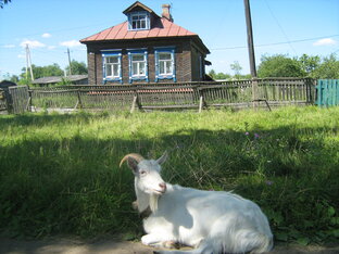 Познавательное.