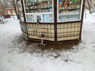 10 Любимых публикаций