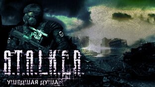 S.A.L.K.E.R.:Ушедшая душа