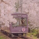 Факты о Японии!