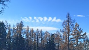 Видеоролики для души