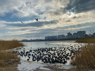 Интересные и полезные факты