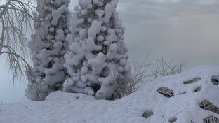 И сердце увидит.