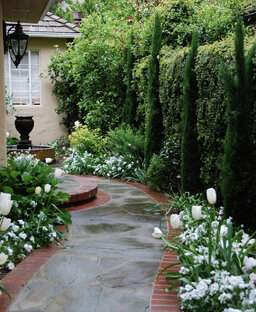 Создание сада 