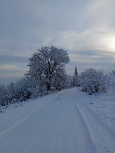 разное