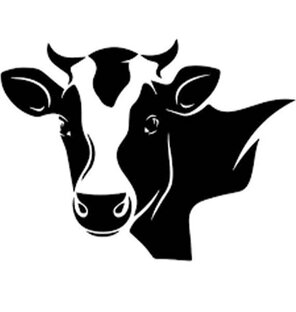 Коровы и телята