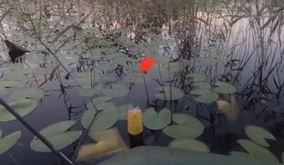 Щука на "Бутылки" 