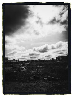 Пожирающий эмоции