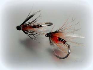 Fly fishing and fly tying