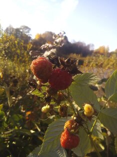 Народные приметы