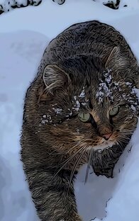 Сказка о Барсике