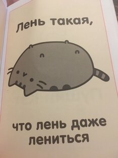 Пушин кэт 