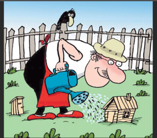 Полезная информация для садовода