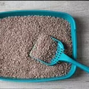 прекрасный новый мир