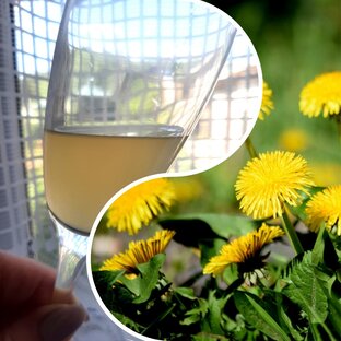 Домашнее вино