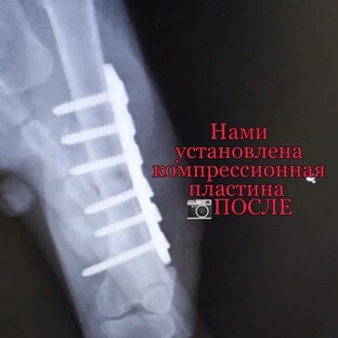 Наша практика
