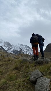 Вертикальный ИЛЮХА. Ролики