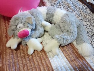 Анекдоты и смешные высказывания 