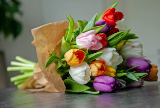 Фото и видео для скачивания