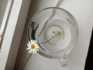 Планы/мечты и их реализация