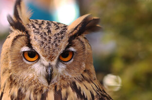 Понемногу обо всём.