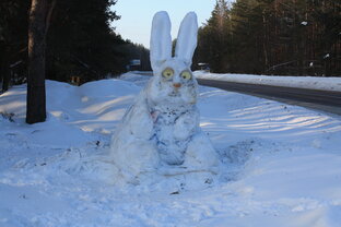 Мои "мемуары"