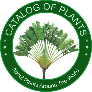 Сборники растений Catalog of Plants