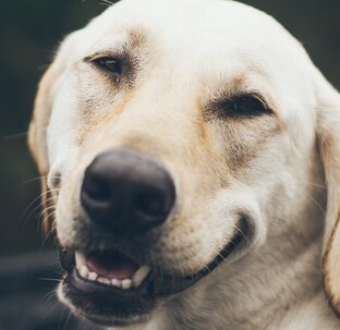 Хитрости для улучшения повседневной жизни и самопомощи