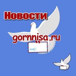 Новости