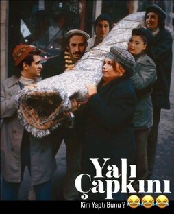  "Зимородок"