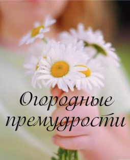 Огородные премудрости