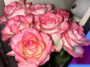 WILDBERRIES ❤️OZON🛍 ПОКУПКИ!