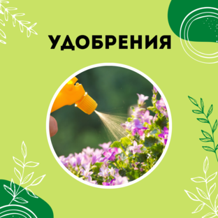 Про удобрения и препараты